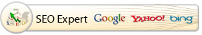 Hire seo Expert